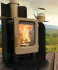 Ekol Apple Pie - Apple Core Wood Burning Stove
